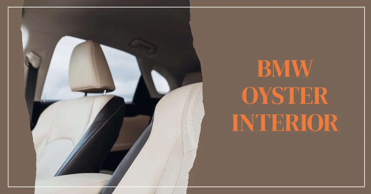 BMW Oyster Interior