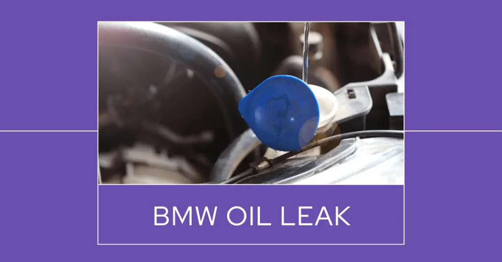 bmw oil leak