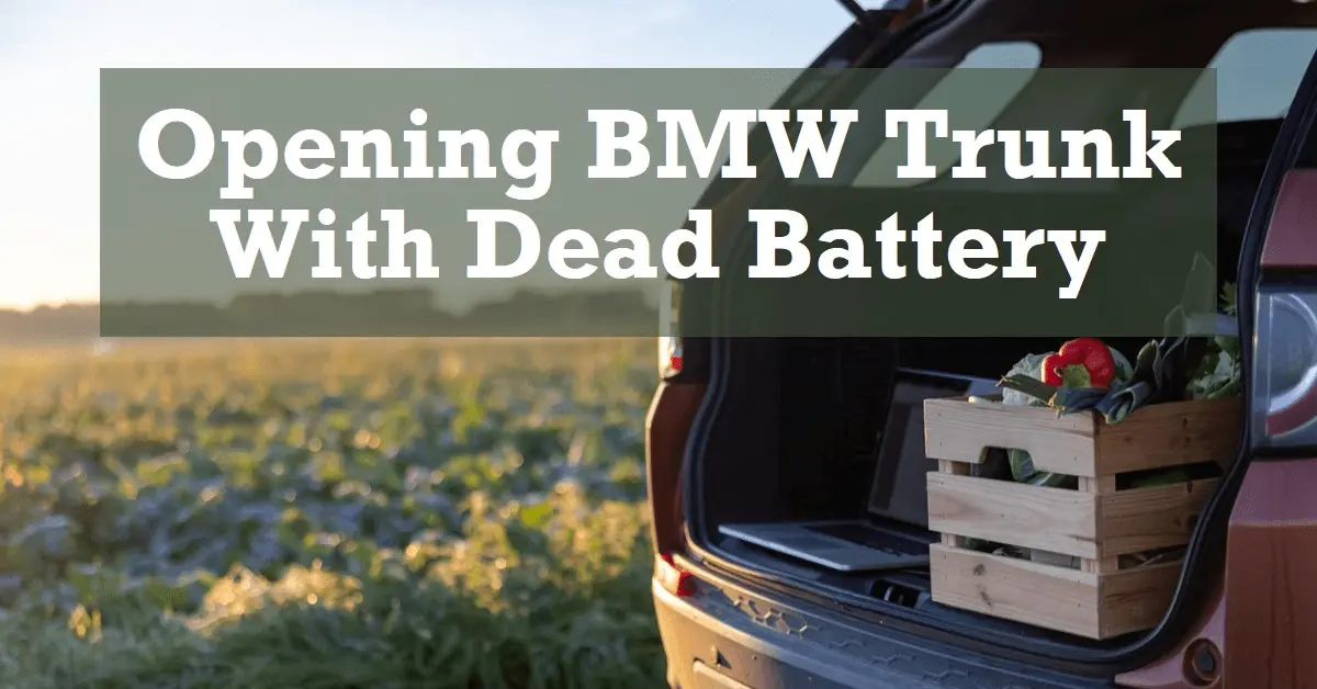 How to Open BMW Trunk with Disconnected or Dead Battery